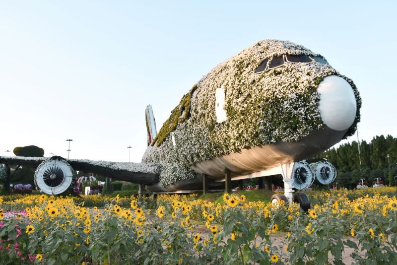cosa-fare-a-dubai-miracle-garden