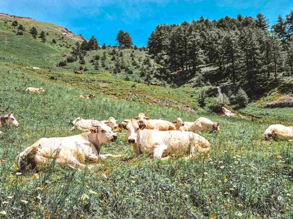 valle-di-rochemolles