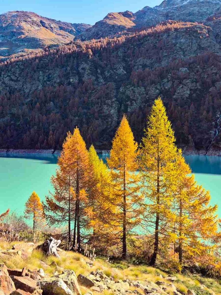 place-moulin-foliage
