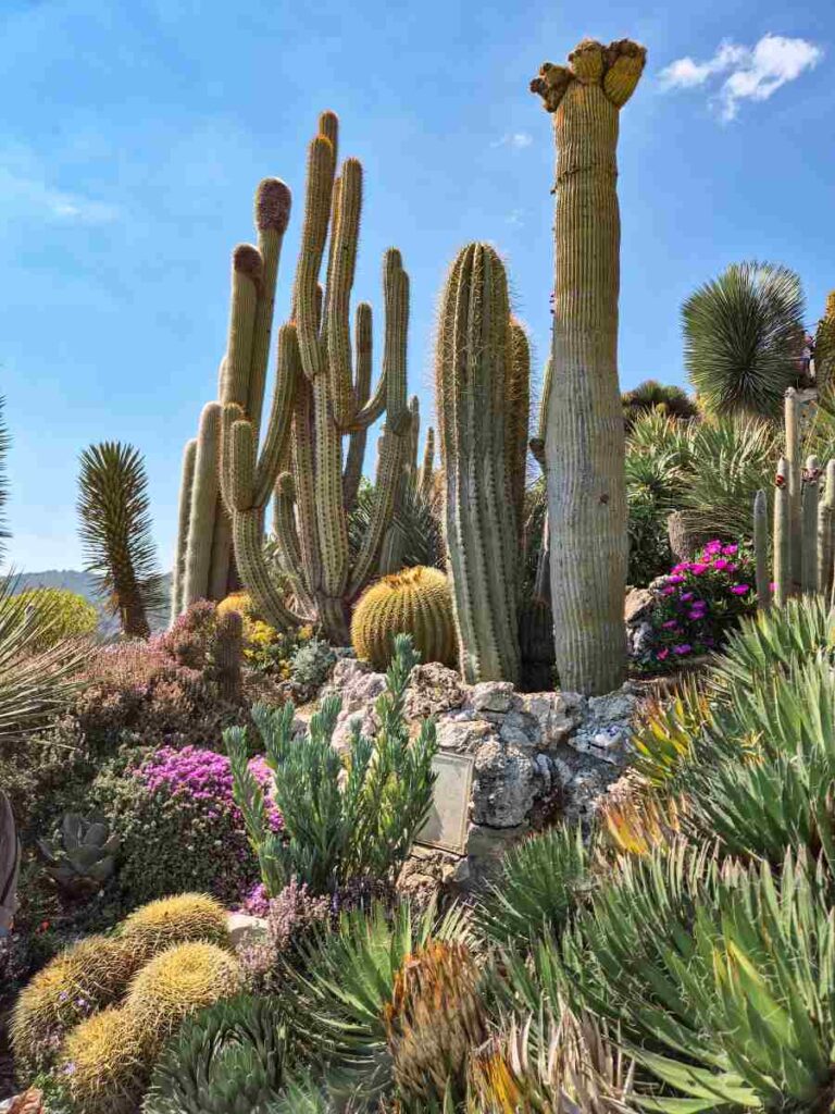 jardin-exotique-eze
