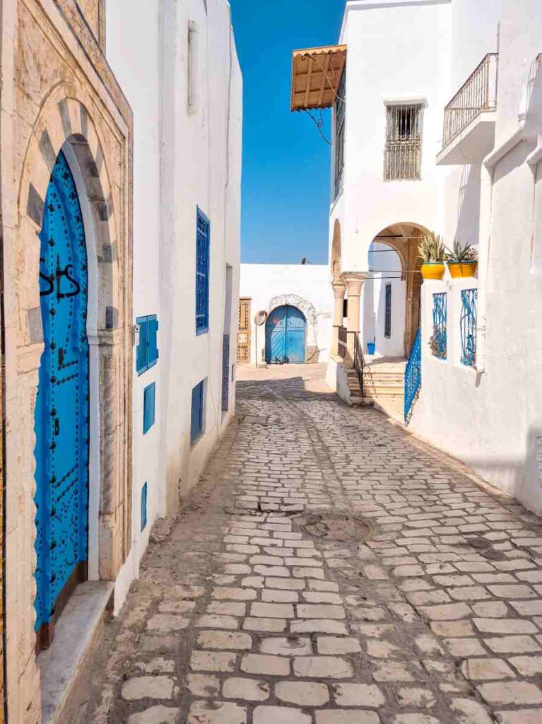 cosa-vedere-a-sidi-bou-said