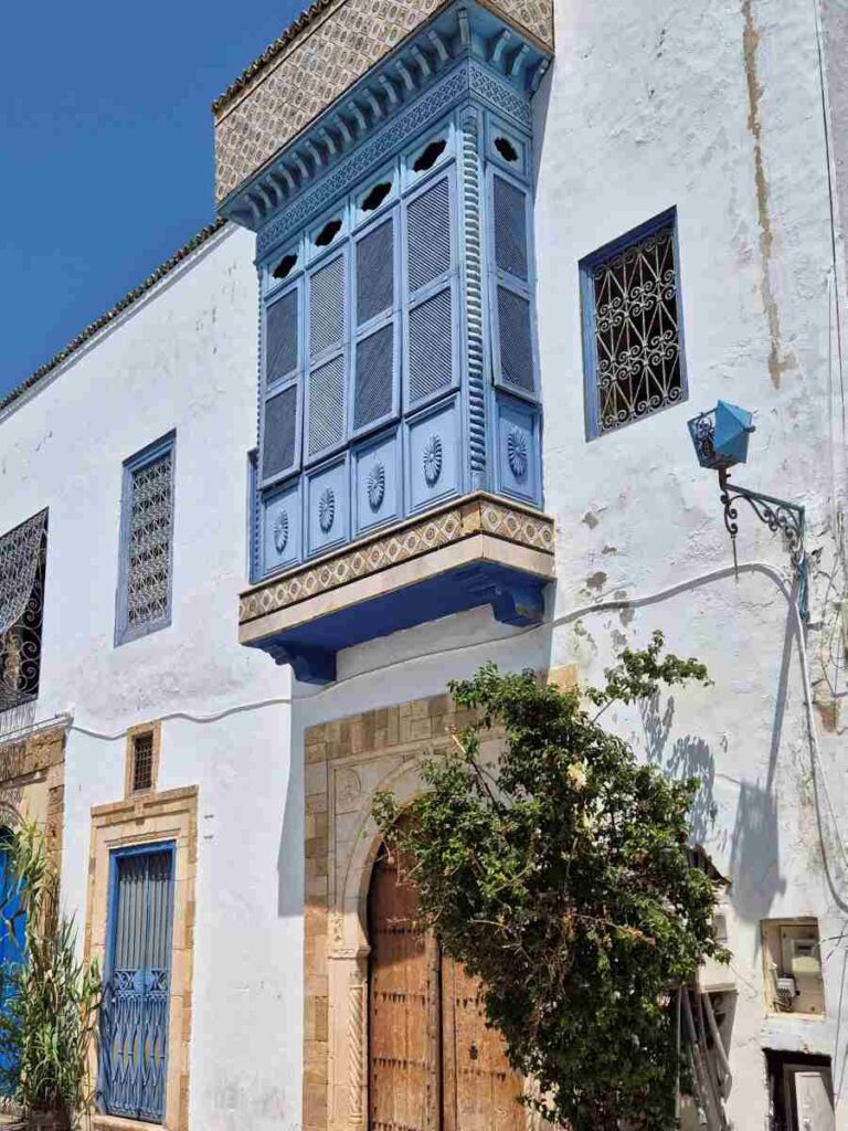 sidi-bou-said-case