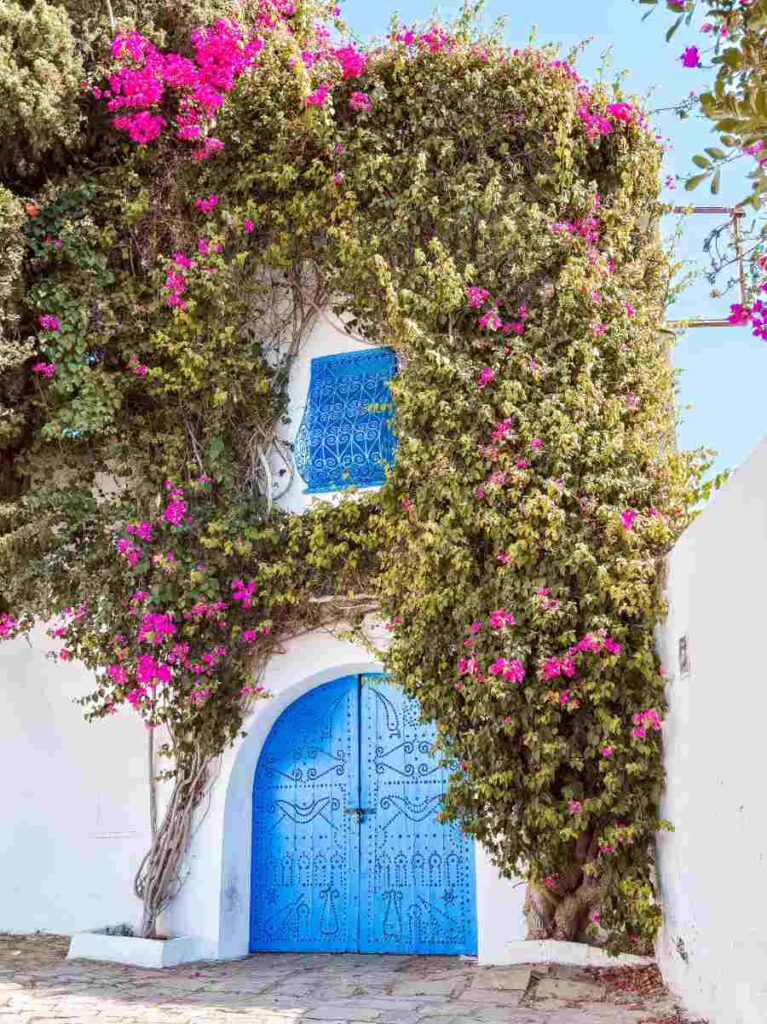 sidi-bou-said-come-arrivare
