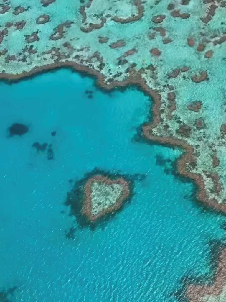 heart-reef-barriera-corallina